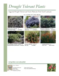Drought Tolerant Plants List
