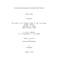 Identification of the Binding Site for Ammonia in GMP Reductase