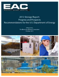 2012 Storage Report: Progress and Prospects Recommendations for the U.S