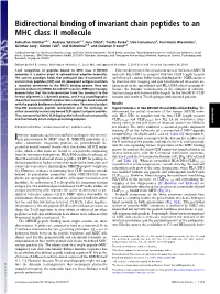 Bidirectional Binding of Invariant Chain Peptides to an MHC Class II Molecule