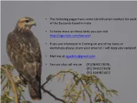 Buzzards.Pdf