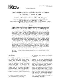 Impact of Odor Signals on Cycloneda Sanguinea (Coleoptera: Coccinellidae) Searching Behavior