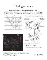Phylogenomics