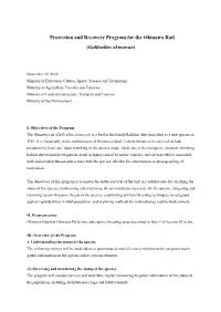 Protection and Recovery Program for the Okinawa Rail (Gallirallus Okinawae)