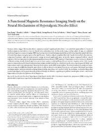 A Functional Magnetic Resonance Imaging Study on the Neural Mechanisms of Hyperalgesic Nocebo Effect