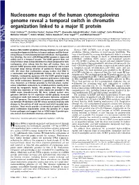 Nucleosome Maps of the Human Cytomegalovirus Genome Reveal a Temporal Switch in Chromatin Organization Linked to a Major IE Protein