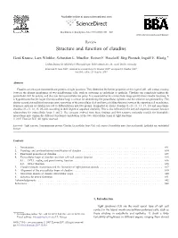 Structure and Function of Claudins ⁎ Gerd Krause, Lars Winkler, Sebastian L