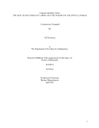 THE NEW TRAJECTORIES of LABOR and the MAKING of the DIGITAL NOMAD a Dissertation Presented by Jeff Sternbe