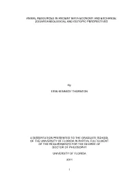 University of Florida Thesis Or Dissertation Formatting