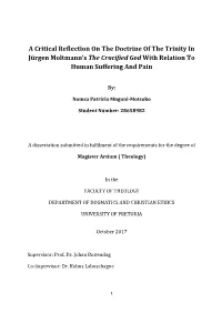 A Critical Reflection on the Doctrine of the Trinity in Jürgen Moltmann's
