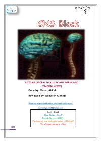 LECTURE (SACRAL PLEXUS, SCIATIC NERVE and FEMORAL NERVE) Done By: Manar Al-Eid Reviewed By: Abdullah Alanazi
