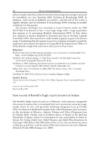 First Record of Bonelli's Eagle Aquila Fasciatus in Sudan
