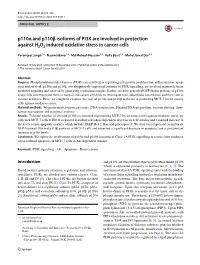 P110α and P110β Isoforms of PI3K Are Involved in Protection Against H­ 2O2 Induced Oxidative Stress in Cancer Cells
