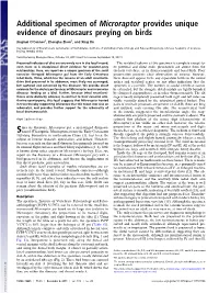 Additional Specimen of Microraptor Provides Unique Evidence of Dinosaurs Preying on Birds