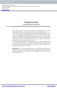 Self-Organised Criticality: Theory, Models and Characterisation Gunnar Pruessner Frontmatter More Information