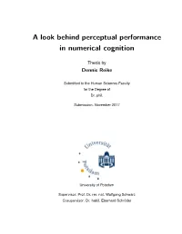 A Look Behind Perceptual Performance in Numerical Cognition