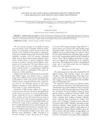 A Review of the Schinia Regia (Strecker) Species Complex with a Description of a New Species (Noctuidae: Heliothinae)