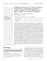Phylogeny and Taxonomy of a Diverse Collection of Bradyrhizobium Strains