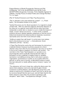Puppet Masters of TACTICAL DIVERSIONS and FALSE FLAG