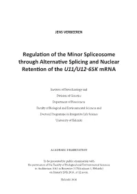Regulaɵon of the Minor Spliceosome Through Alternaɵve Splicing And