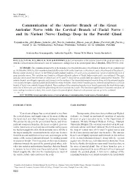 Communication of the Anterior Branch of the Great Auricular Nerve with the Cervical Branch of Facial Nerve and Its Variant Nerve Endings Deep in the Parotid Gland