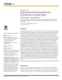 Endosymbiont Dominated Bacterial Communities in a Dwarf Spider