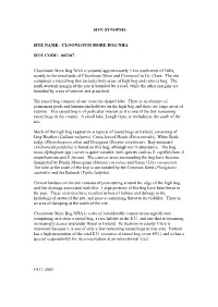 Site Synopsis