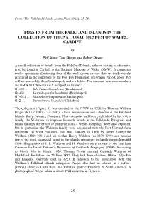 25 Fossils from the Falkland Islands in the Collection Of
