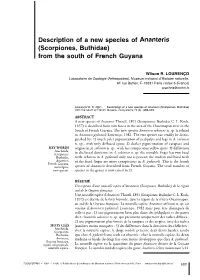 Description of a New Species of Ananteris (Scorpiones, Buthidae) from the South of French Guyana
