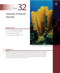 Overview of Animal Diversity