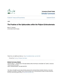 The Position of the Ophiuroidea Within the Phylum Echinodermata