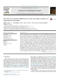 The Role of Raw Material Differences in Stone Tool Shape Variation: an Experimental Assessment