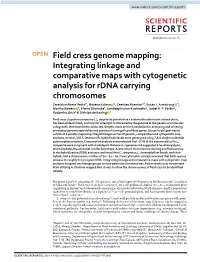 Field Cress Genome Mapping: Integrating Linkage and Comparative Maps with Cytogenetic Analysis for Rdna Carrying Chromosomes