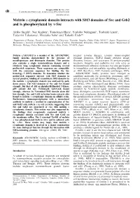Meltrin a Cytoplasmic Domain Interacts with SH3 Domains of Src and Grb2 and Is Phosphorylated by V-Src