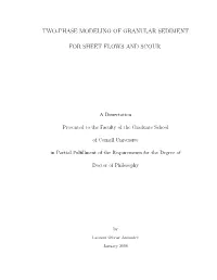 Two-Phase Modeling of Granular Sediment for Sheet Flows and Scour