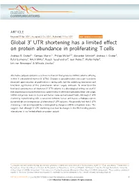 UTR Shortening Has a Limited Effect on Protein Abundance in Proliferating T Cells
