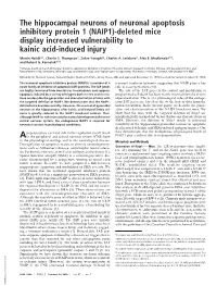 The Hippocampal Neurons of Neuronal Apoptosis Inhibitory Protein 1 (NAIP1)-Deleted Mice Display Increased Vulnerability to Kainic Acid-Induced Injury