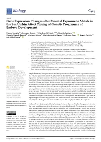 Gene Expression Changes After Parental Exposure to Metals in the Sea Urchin Affect Timing of Genetic Programme of Embryo Development