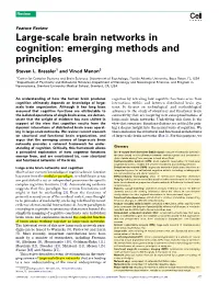 Large-Scale Brain Networks in Cognition: Emerging Methods and Principles