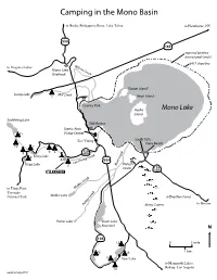 Camping in the Mono Basin