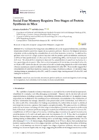 Social Fear Memory Requires Two Stages of Protein Synthesis in Mice