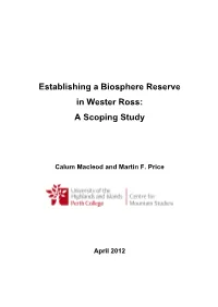 A Scoping Study