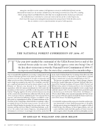 At the Creation
