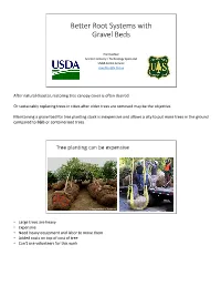 Better Root Systems with Gravel Beds