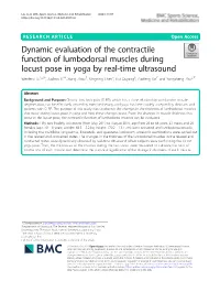 Dynamic Evaluation of the Contractile Function of Lumbodorsal Muscles