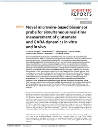 Novel Microwire-Based Biosensor Probe for Simultaneous Real-Time Measurement of Glutamate and GABA Dynamics in Vitro and in Vivo