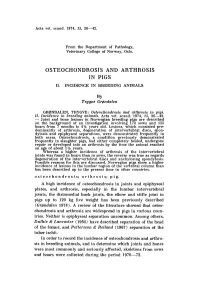 Osteochondrosis and Arthrosis in Pigs Ii