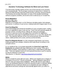 Assistive Technology Software for Blind and Low Vision