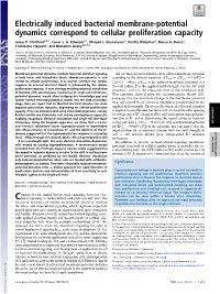 Electrically Induced Bacterial Membrane-Potential Dynamics Correspond to Cellular Proliferation Capacity