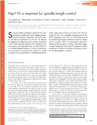 Hsp110 Is Required for Spindle Length Control